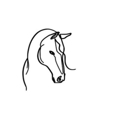 TOPPER NA BOK TORTU KOŃ...